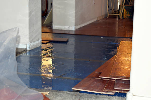 Professional Water Extraction technician working in West Mansfield, OH